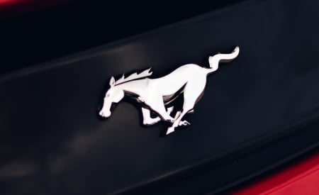 Mustang Merchandise