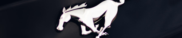 Mustang Merchandise