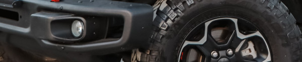 Rubber Protectant