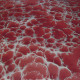 Storm Cloud Basecoat With Ruby Effects Metallic Epoxy Storm Cloud Basecoat With Ruby Effects Metallic Epoxy