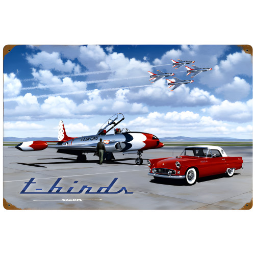 T Birds Metal Sign - 24" x 16"