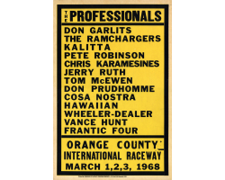 The Professionals Metal Sign