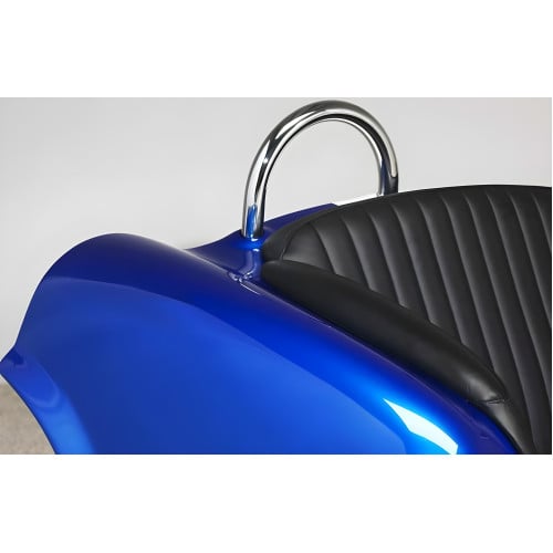 Cool Blue Cobra with Black Leather Couch